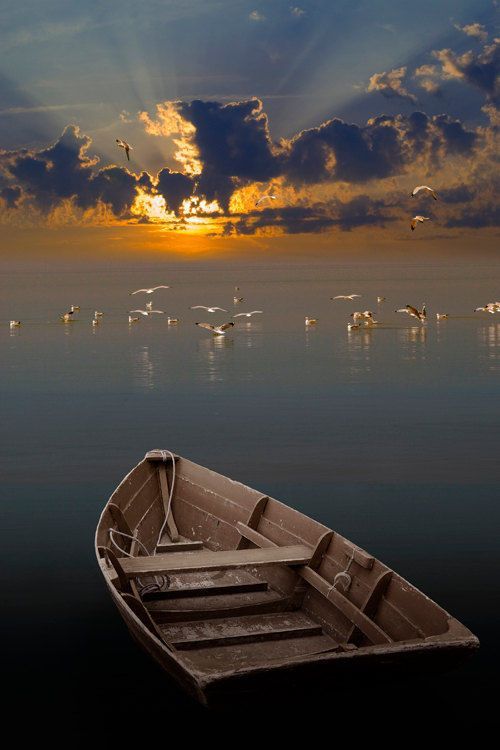 esamnoor:  Amazing 