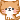Orange Cats