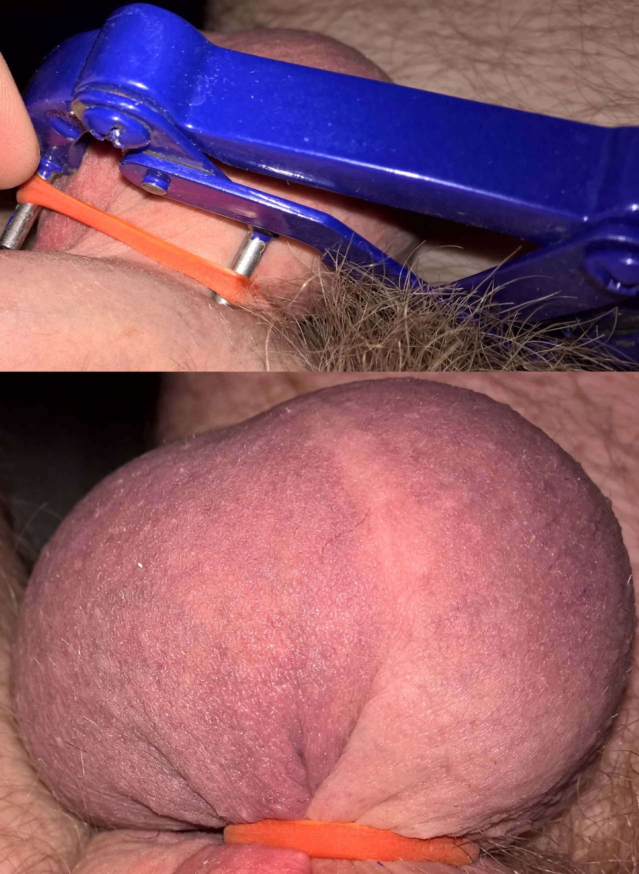 breedingfarm:  danishlowhangers:  Tick tock, love it :)   Taking ITs balls takes