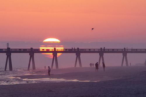 pleasant-respite:Follow Pleasant Respite for more