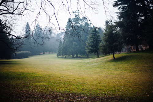 Parco di Monza, Italy