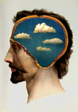 https://69.media.tumblr.com/ca016c0a972e2e4fa0a0fb00a7e110bc/tumblr_mr859tdo7s1s2djs8o1_500.jpg