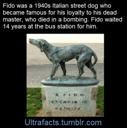 Ultrafacts:  Fido’s Monument Above Reads   To Fido, Example Of Loyalty  Fido Probably