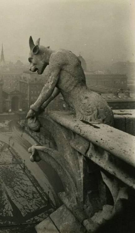 Notre Dame de Paris …Chimère 1920