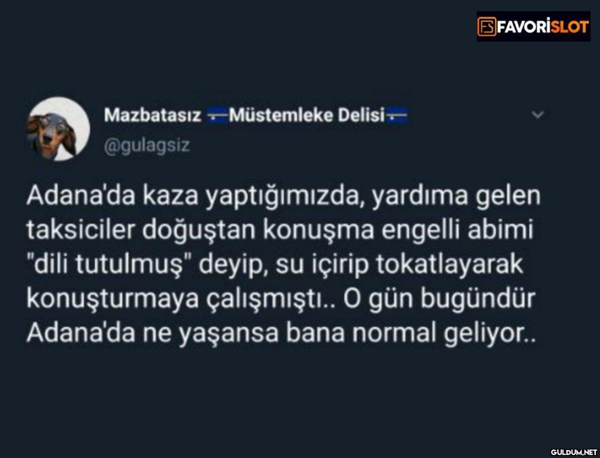 Mazbatasız Müstemleke...