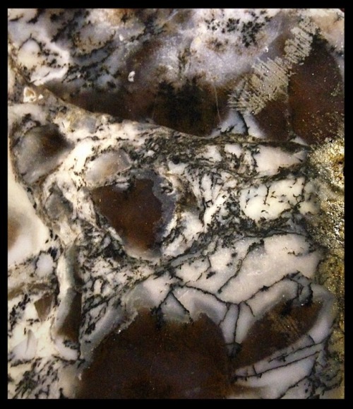Snake River Dendritic Agate, rare old stock! https://www.etsy.com/listing/619304844/snake-river-dend