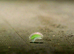 willscarlets-moved-blog:once upon a time meme 2.02/4 items → Magic beans