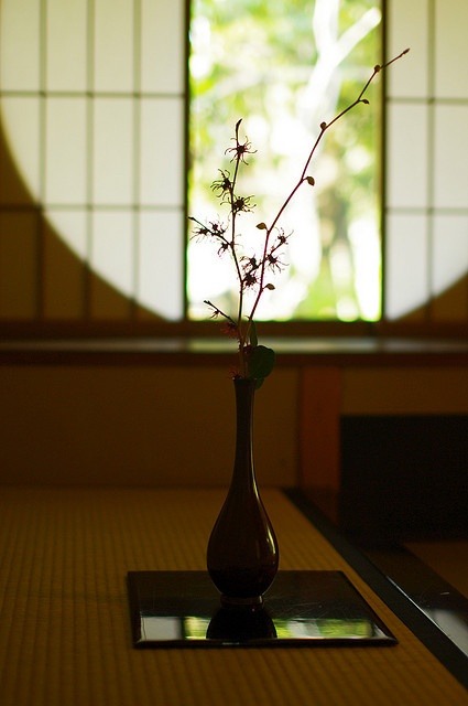 晴六