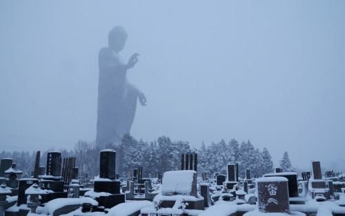 girlchub: Ushiku Daibutsu in the winter from a graveyard in Ibaraki Prefecture, Japan. 