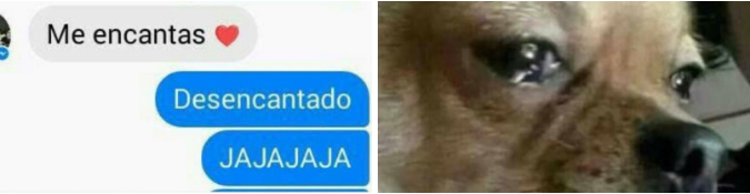 JAJAJAJAJAJAJAJAJA 😭