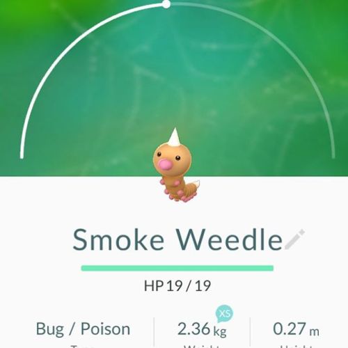 My favourite Pokemon so far