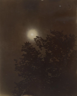 dame-de-pique:   Solar Eclipse, c.1905  