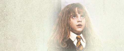 peppermintprongs:Hermione’s face when she sees the troll                                      reques