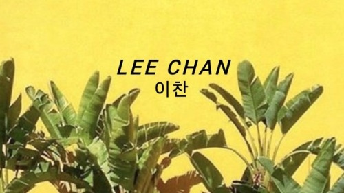 Seventeen Headers - Lee Chan (Dino)Other Members:Seungcheol / Jeonghan / Joshua / Jun / Hoshi / Wonw