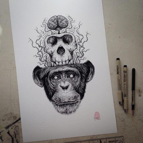 psycho-delic-cunt:  awesome-picz:    Animals Leave Their Skeletons Behind In Stunning Dark Drawings By Paul Jackson  was not expecting that turtle one