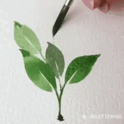 Korok Stimboard For Anon :D