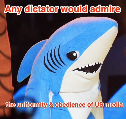 boingboing:#Leftistshark: Katy Perry’s Super Bowl Left Shark plus Noam Chomsky quotes