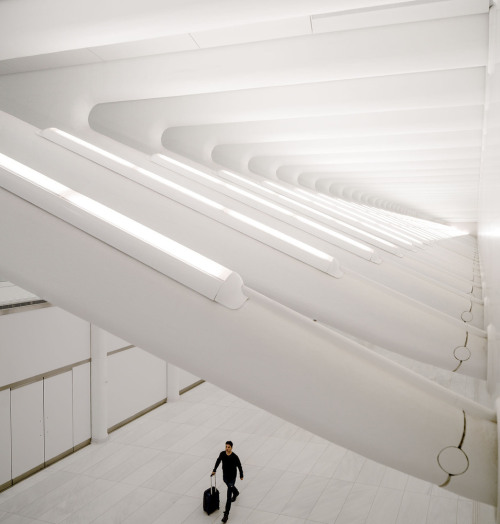 archatlas:World Trade Center Transportation Hub Santiago CalatravaCalatrava’s first major design dec