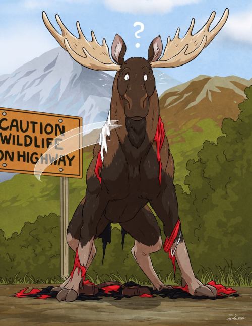 http://harvzilla.tumblr.com/post/141838171532
