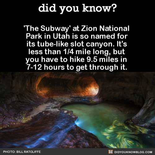 did-you-kno: ‘The Subway’ at Zion National Park in Utah is so named for its tube-like slot canyon. I