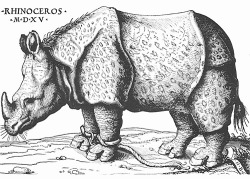 masterpieceart: Albrecht Durer’s masterpiece “Rhinoceros”. Albrecht Durer was a German painter and engraver of the renaissance era and generally accepted as the greatest artist of the northern renaissance.Durer sold thousands of prints of this