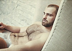 Hairy Gay Men