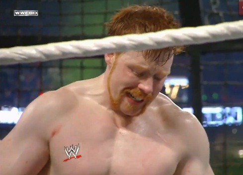 allsheamusfarrelly:  Sheamus - elimination chamber! I love this hair