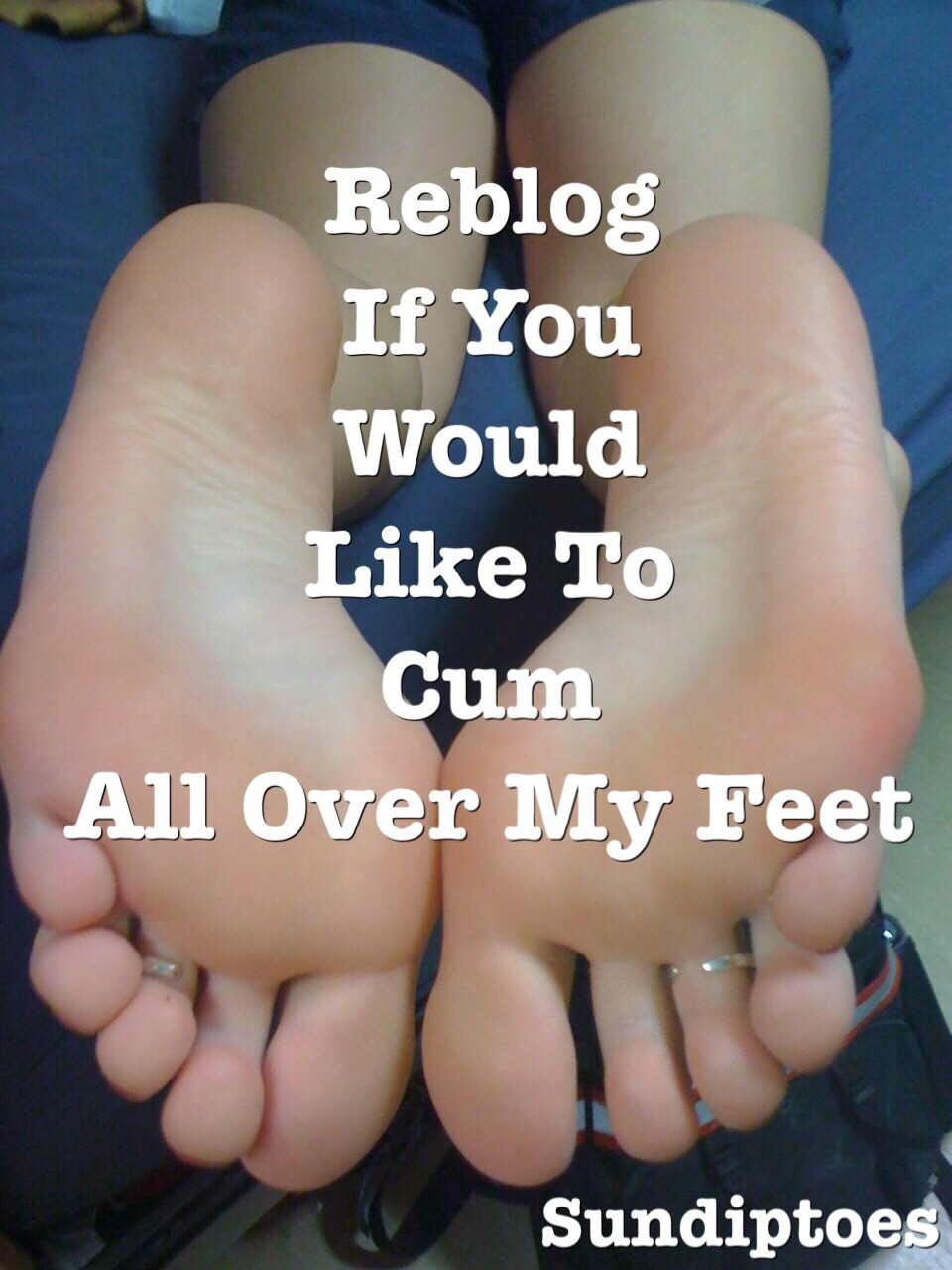 sundiptoes:  sundiptoes:  I need 60 more reblogs let’s make this happen my true