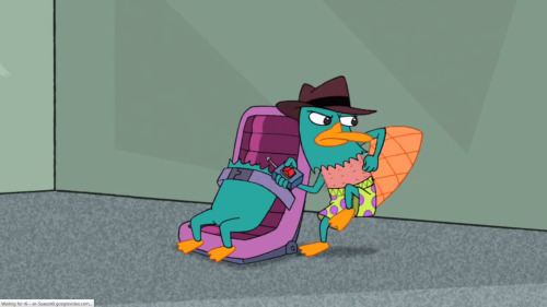 Porn Perry the Platypus from Phineas and Ferb photos