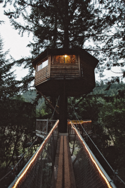 voices:  Tree House | Instagram | Facebook