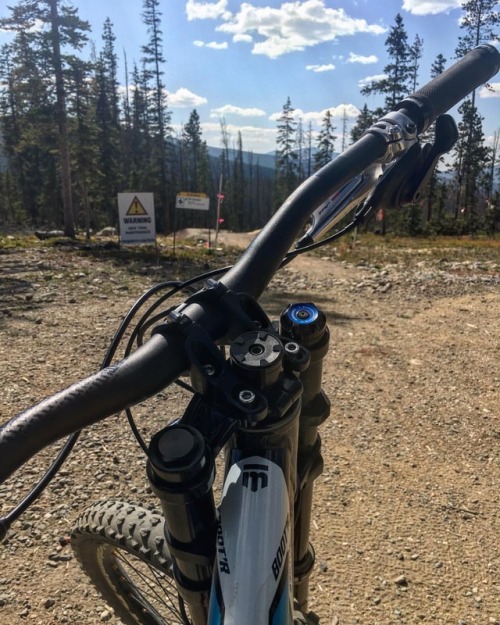 plussizebmx:The back side of @trestlebikepark is soooo good now!!! #36thchamber and #spicychicken so