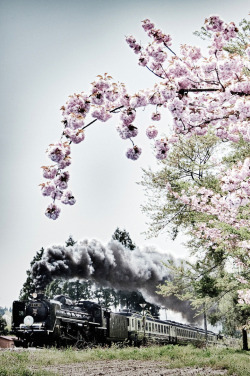 l0stship:  Spring has come (HDR) / by HIRO