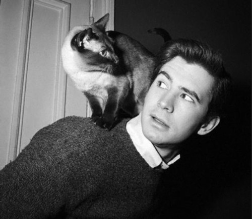 lanky-brunettes-with-wicked-jaws: Tony Perkins and Cat 