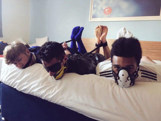 englishkinks:      I seem to enjoy having multiple guys tied and gagged…  