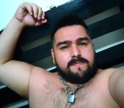 faritoso:  Bear leather 🐻😈