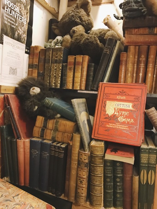 theatticoneighth: Armchair Books, Edinburgh  Click through the source link to Literature Editor