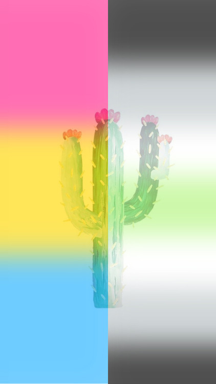 Pansexual And Agender Cactus Phone Backgrounds For Tumbex