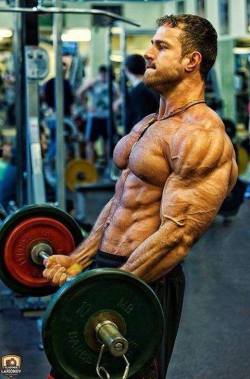 Adonis Files