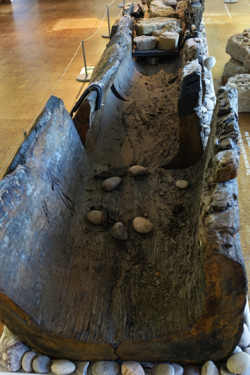 Bronze Age Log Boat from Shardlow, Derbyshire, Derby Museum and Gallery, 6.1.18.This Bronze Age Log 