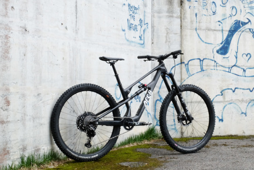 (via First Ride: ARC8 Extra - A New 160mm 29er From a Small Swiss Brand - Pinkbike)