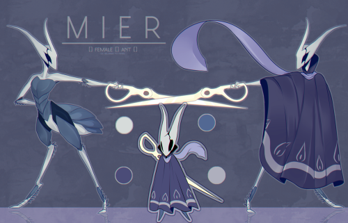  I finally made Mier’s reference. She’s an Hollow Knight OC! I also figured out a cool s