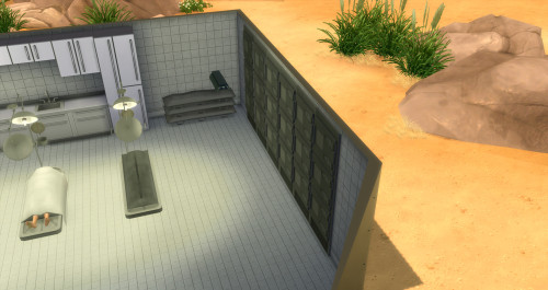 SimMeFo MOD (Sims Medical Forensics)Hello. I have finished this 1st version of a CSI related MOD. Wi