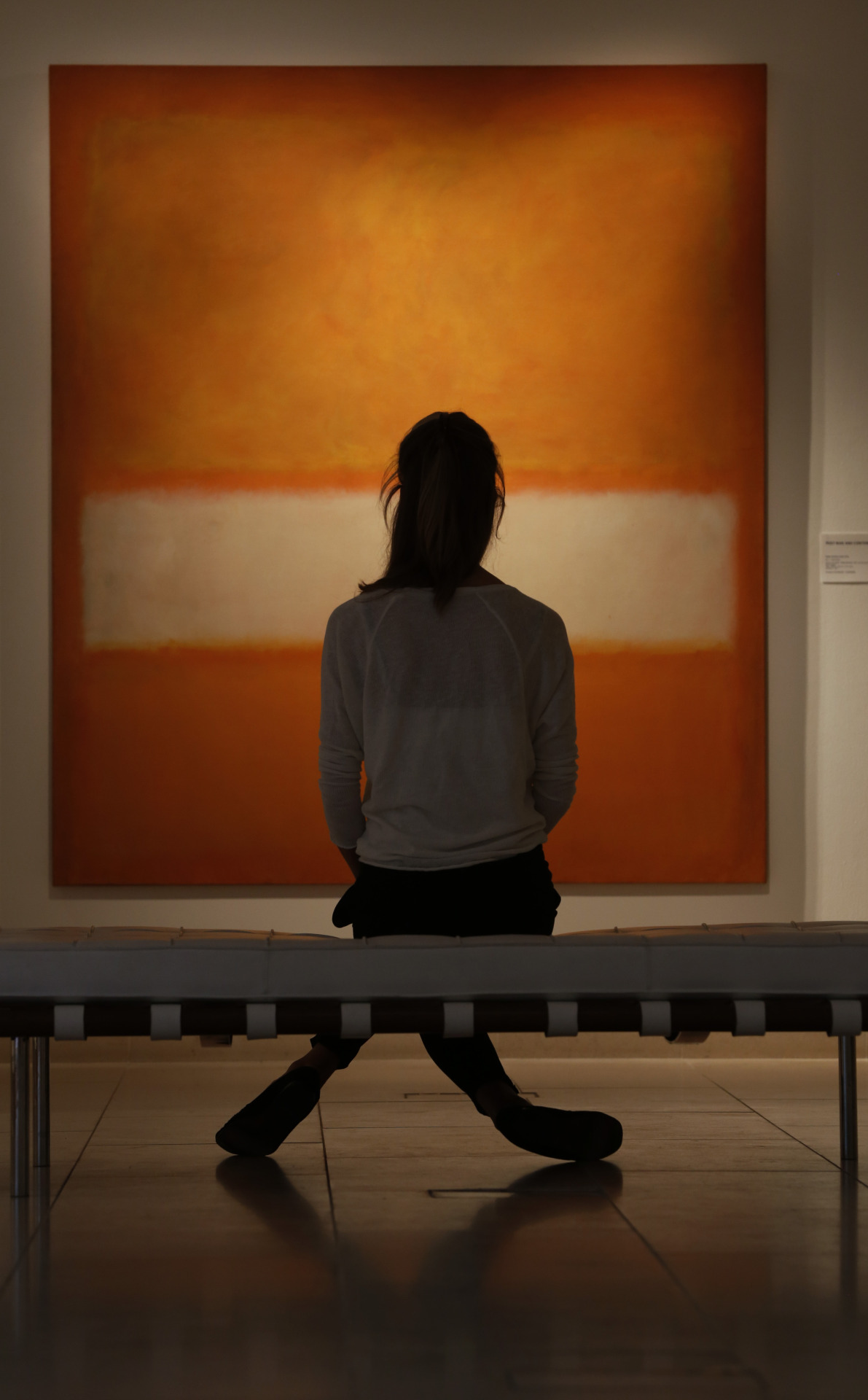 denisesoyletras:  Contemplation, Mark Rothko