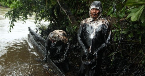 indigenous-caribbean:Indigenous people are struggling to clean up 3,000 barrels oil that have poured