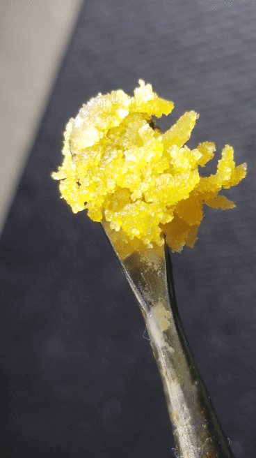 drugssexandhairlesscats:   Cookie Breath crumble🍪 