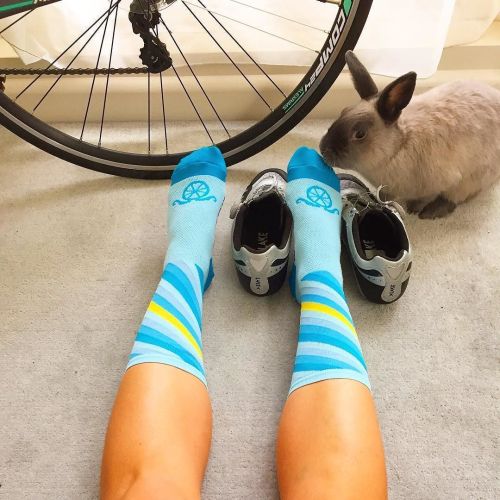 dfitzger:  by @hbstache: We worked hard to create bunny friendly socks. Glad to see them in the wild