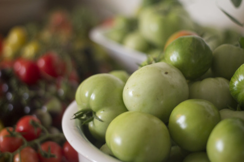 lenorestreetgarden: Our last tomato and pepper harvest.  It’s been a good summer. Jealous!  This is 