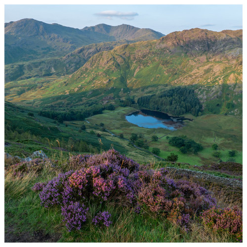 wanderthewood:The view from Side Pike to Blea Tarn - Lake District, England by Mehcee