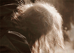 boromirs:  Gimli, The Fellowship of the Ring 