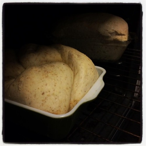 I’m getting #better at #bread, #You #guys. #dough #selfcare #wild #nights #breadmaking #multigrain #